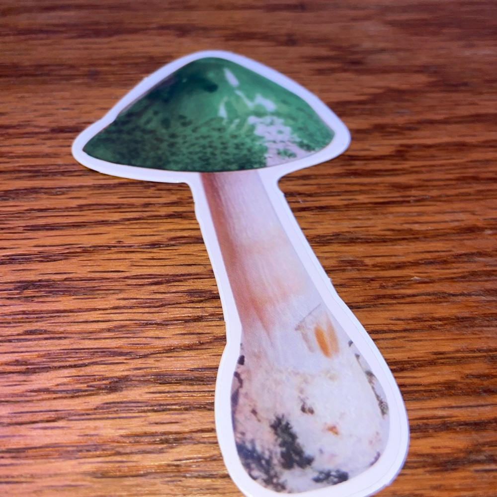 Colorful 13 Mushroom Sticker Set - Picture 7 of 14